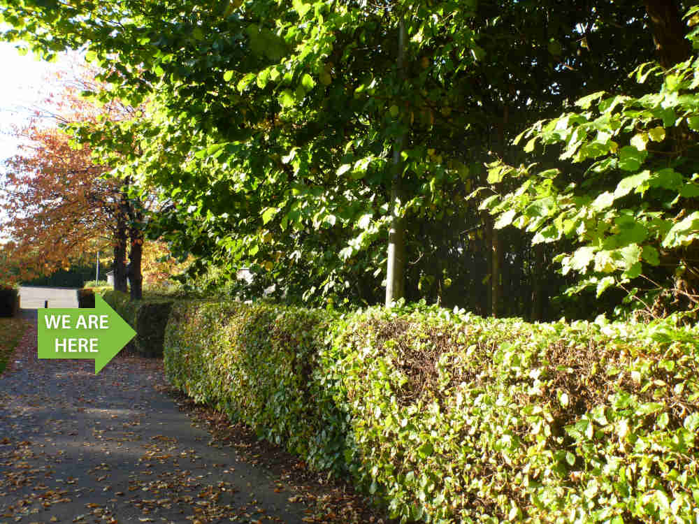 Footpath to Alva Scout Hall zoomed