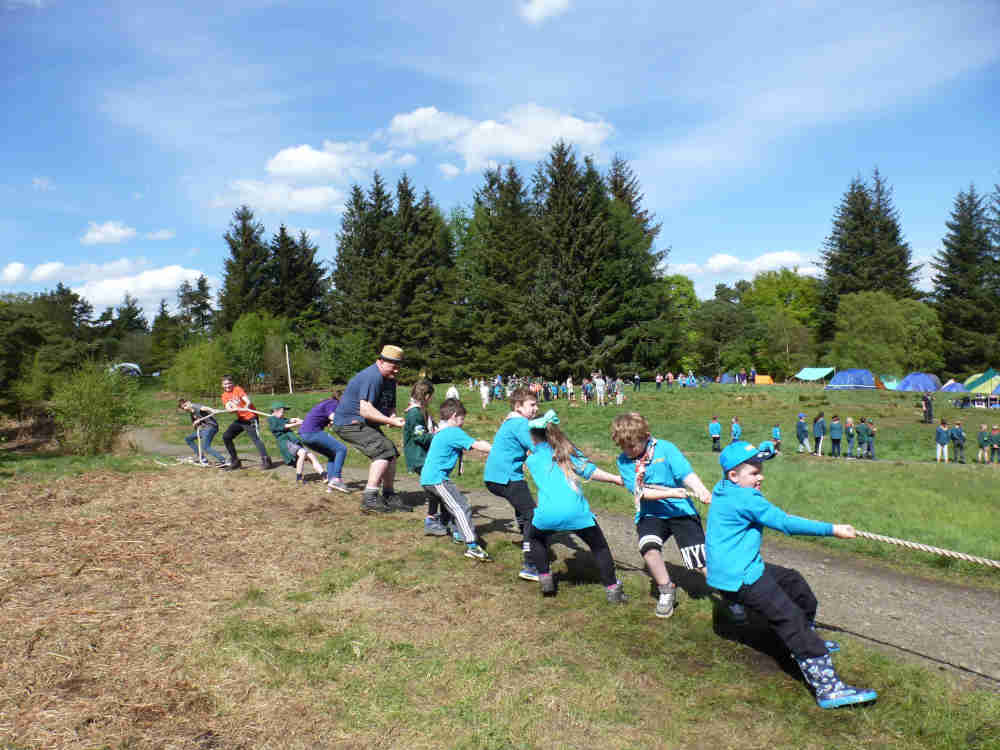 Beavers - Tug of war