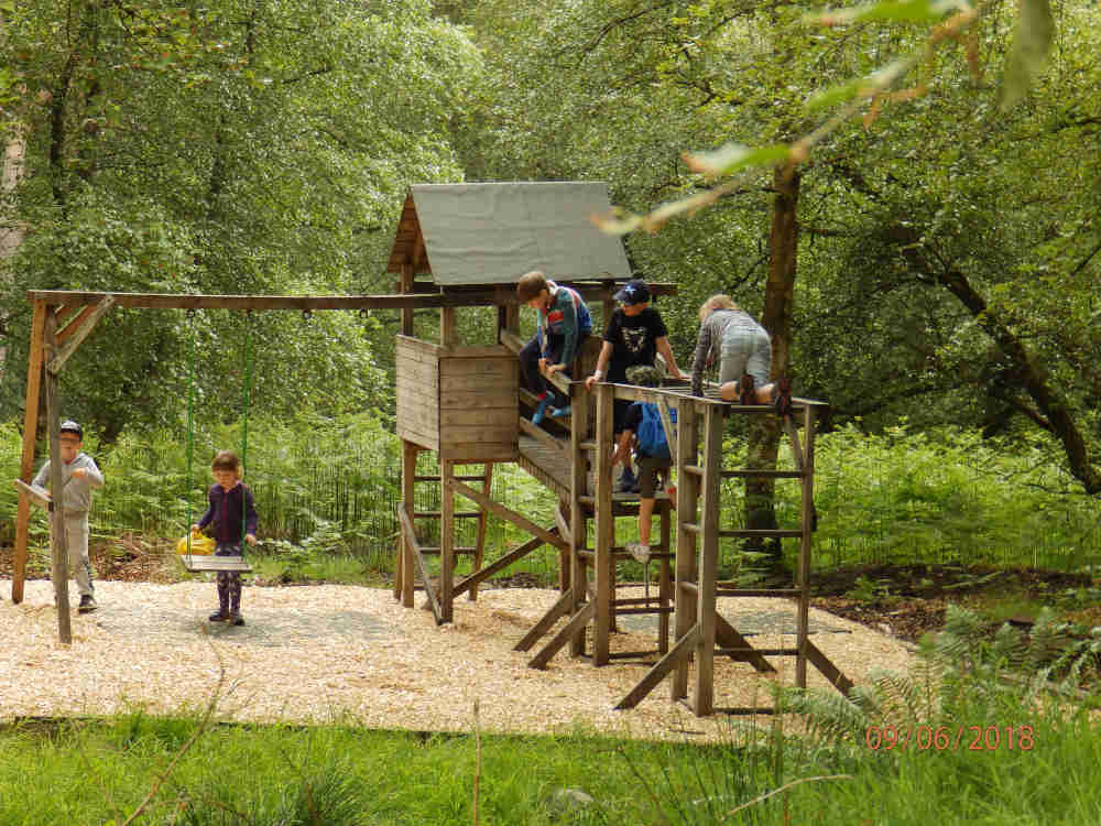 Beavers - Playing in the playpark