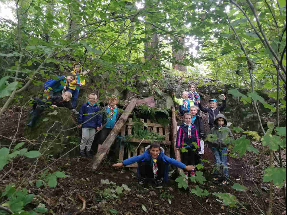 Beavers - Den building