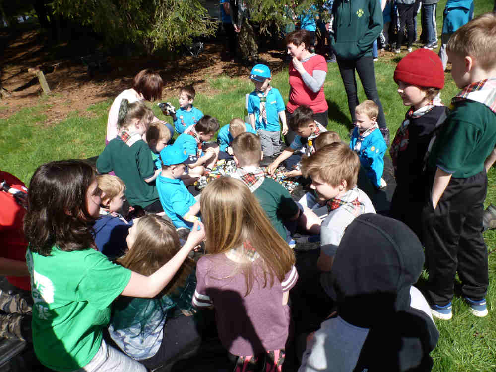 Beavers - Playing with Lego