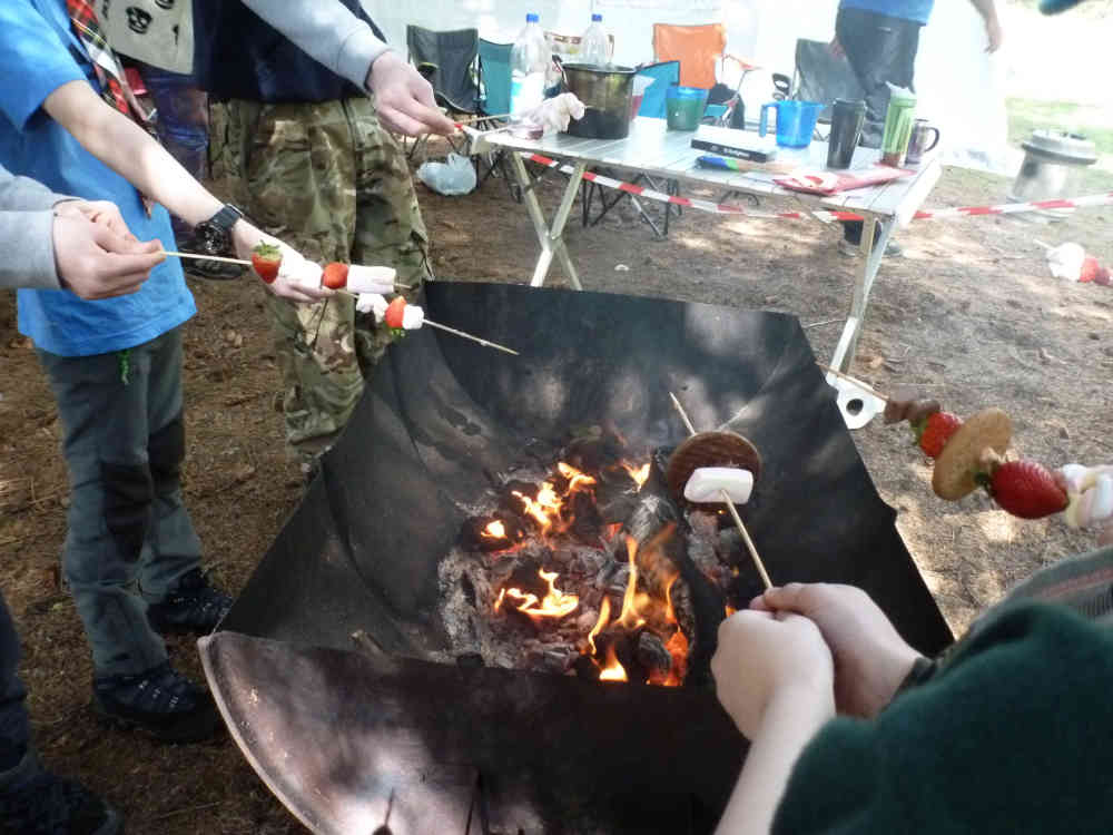 Beavers - Cooking arshmallow kebabs on open fire