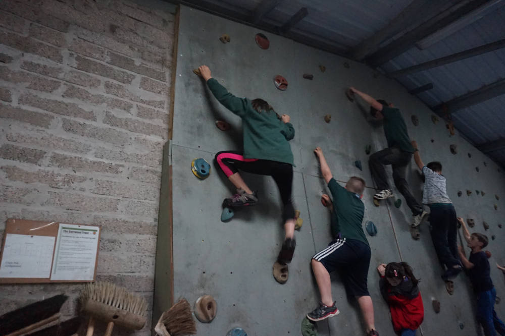 Cubs - Climbing wall