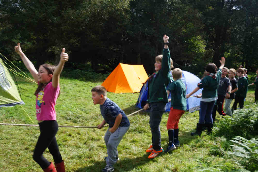 Cubs - Tug of war