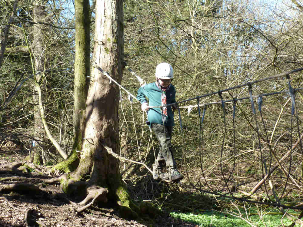 Cubs - Rope bridge