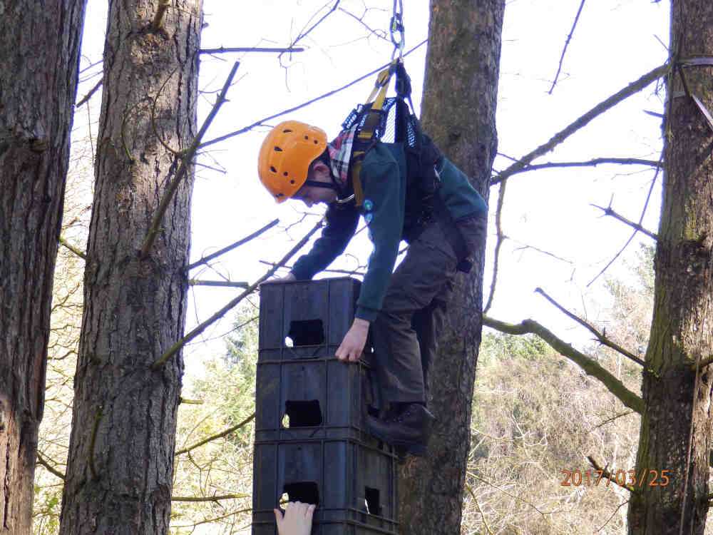 Cubs - Crate climbing